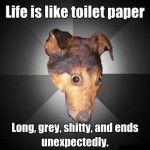 toilet paper