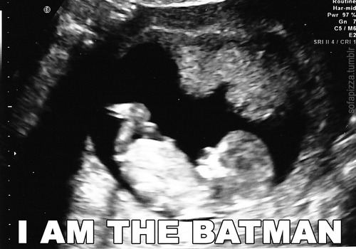 Batman womb