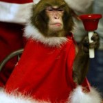 Cute Christmas Animals 03
