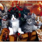 Cute Christmas Animals 06