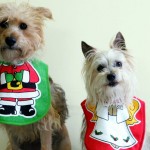 Cute Christmas Animals 09