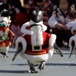 Cute Christmas Animals 16