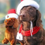 Cute Christmas Animals 26