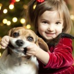 Cute Christmas Animals 31