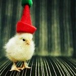 Cute Christmas Animals 32