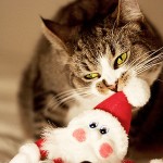 Cute Christmas Animals 34