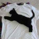 Real puma tshirt