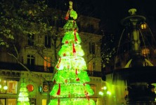 christmas-tree-thumb