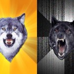 insanity-courage-wolf