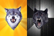 insanity-courage-wolf