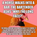 Anti-Joke Chicken - 1