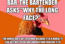 Anti-Joke Chicken - 1