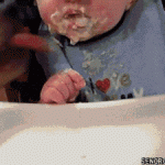 Baby dog food