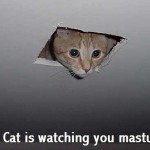 Ceiling cat