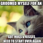 First World Problems Cat - 11
