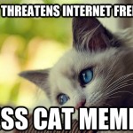 First World Problems Cat - 13