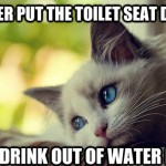 First World Problems Cat - 15