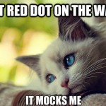 First World Problems Cat - 16
