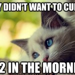 First World Problems Cat - 17