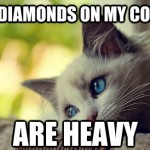 First World Problems Cat - 20