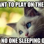 First World Problems Cat - 22