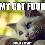 First World Problems Cat - 25