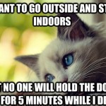 First World Problems Cat - 3