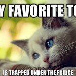 First World Problems Cat - 4