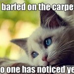 First World Problems Cat - 6