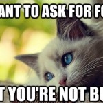 First World Problems Cat - 8