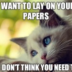 First World Problems Cat - 9