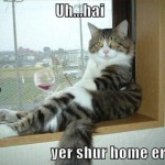 Home early surprise wine cat