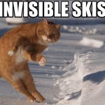 Invisible skis