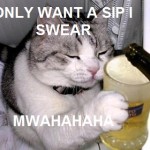 Just one sip cat