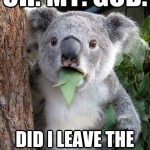 Koala Bear - Meme - 10