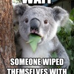 Koala Bear - Meme - 13