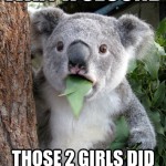 Koala Bear - Meme - 19