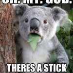 Koala Bear - Meme - 21