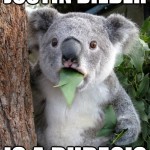 Koala Bear - Meme - 22