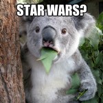 Koala Bear - Meme - 23