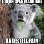 Koala Bear - Meme - 4