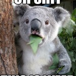 Koala Bear - Meme - 5