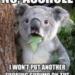 Koala Bear - Meme - 6