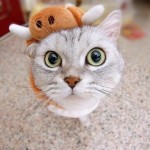 MOOOOOOO....EOW