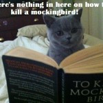 Mockingbird