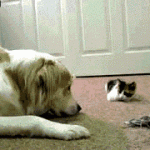 On your nose