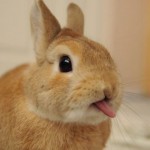 =P