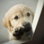PLEASE...