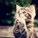 PLEEEEZA