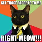 Right meow